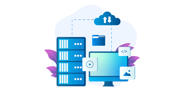 wired-wireless Network